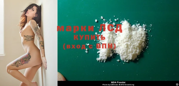 PSILOCYBIN Белокуриха
