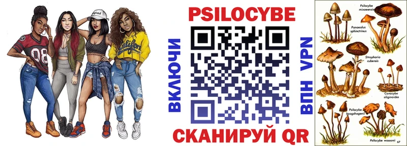 Купить где  Жиздра  Псилоцибиновые грибы GOLDEN TEACHER 