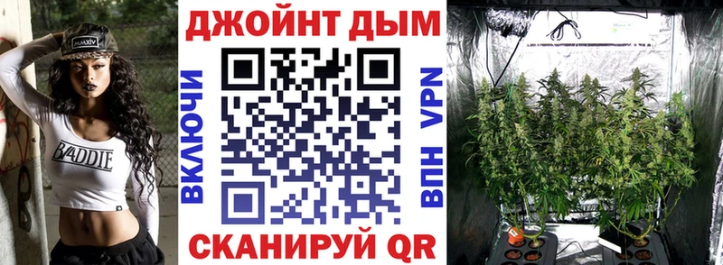 Купить закладки  Жиздра  Бошки Шишки сатива 